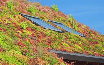 Wymbush living roof systems