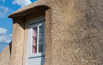 Wymbush thatch roof disadvantages